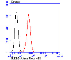 IREB2 Antibody in Flow Cytometry (Flow)