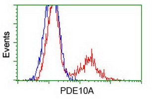 PDE10A Antibody in Flow Cytometry (Flow)
