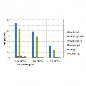 Rabbit IgG Fc Secondary Antibody in ELISA (ELISA)