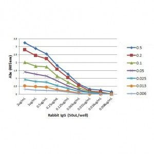 Rabbit IgG Fc Secondary Antibody in ELISA (ELISA)