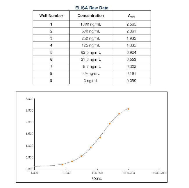 Mouse IgG Fc Secondary Antibody in ELISA (ELISA)