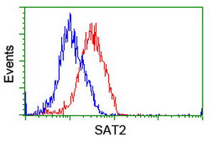 SAT2 Antibody in Flow Cytometry (Flow)