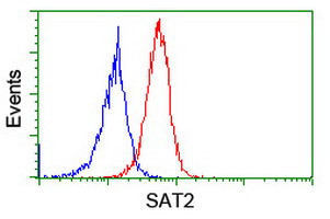 SAT2 Antibody in Flow Cytometry (Flow)