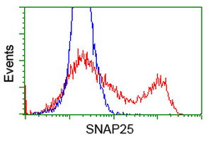SNAP25 Antibody in Flow Cytometry (Flow)