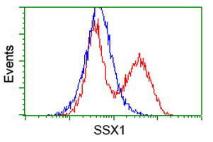 SSX1 Antibody in Flow Cytometry (Flow)