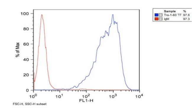 TRA-1-60 Antibody in Flow Cytometry (Flow)