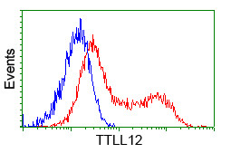 TTLL12 Antibody in Flow Cytometry (Flow)