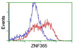 ZNF365 Antibody in Flow Cytometry (Flow)