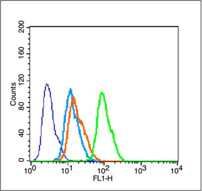 Phospho-Tau protein (Ser579) Antibody in Flow Cytometry (Flow)