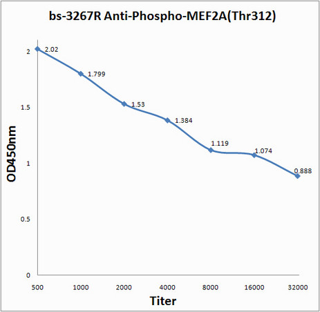 Phospho-MEF2A (Thr312) Antibody in ELISA (ELISA)