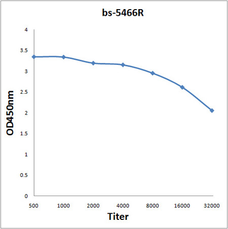 Phospho-JunD (Ser255) Antibody in ELISA (ELISA)