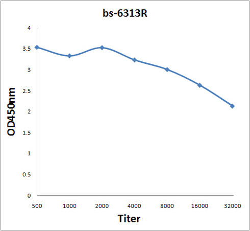 4 Hydroxynonenal Antibody in ELISA (ELISA)