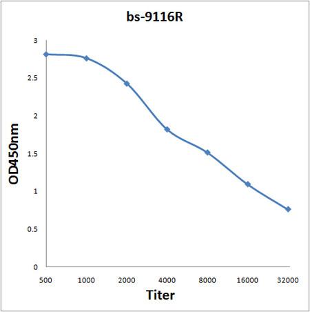 BAGE4 Antibody in ELISA (ELISA)