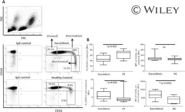 CD16 Antibody in Flow Cytometry (Flow)