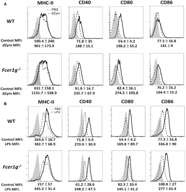 MHC Class II I-Ab Antibody in Flow Cytometry (Flow)