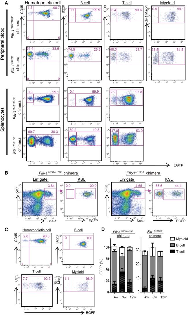 CD117 (c-Kit) Antibody in Flow Cytometry (Flow)