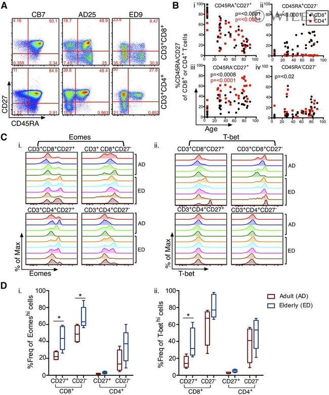 CD27 Antibody in Flow Cytometry (Flow)