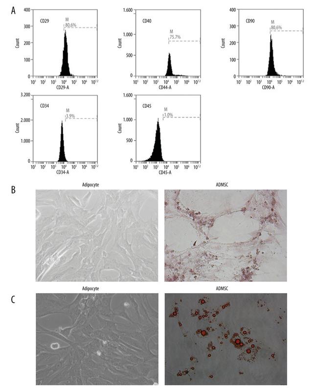 CD29 (Integrin beta 1) Antibody in Flow Cytometry (Flow)