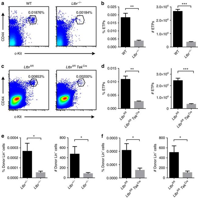 CD117 (c-Kit) Antibody in Flow Cytometry (Flow)