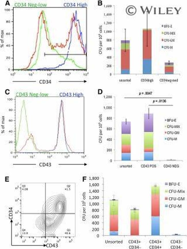 CD34 Antibody in Flow Cytometry (Flow)