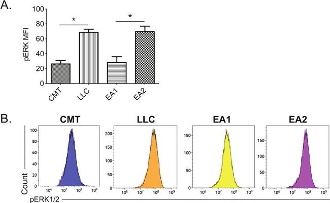 Phospho-ERK1/2 (Thr202, Tyr204) Antibody in Flow Cytometry (Flow)