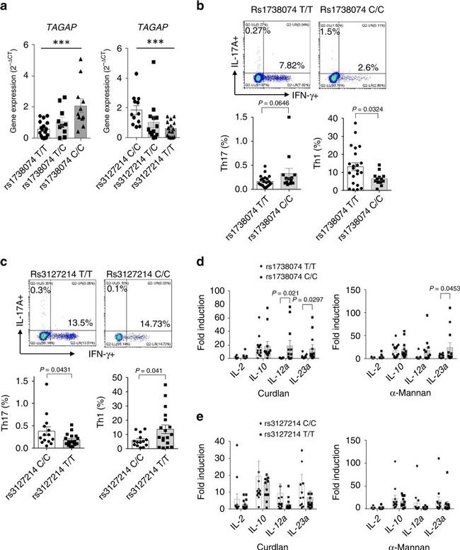 IFN gamma Antibody in Flow Cytometry (Flow)