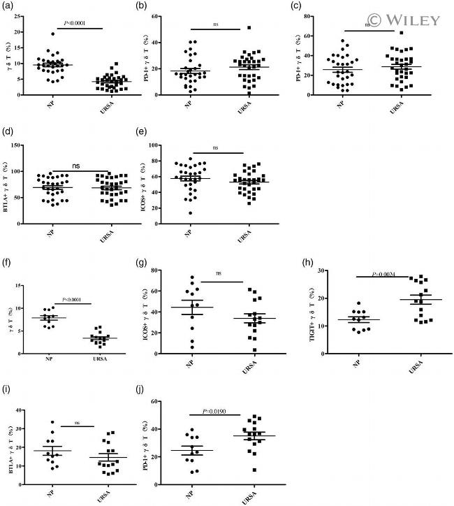 TIGIT Antibody in Flow Cytometry (Flow)