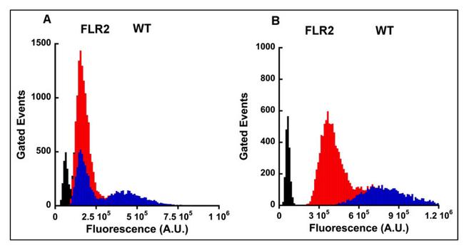 Integrin beta 1 (CD29) Antibody in Flow Cytometry (Flow)