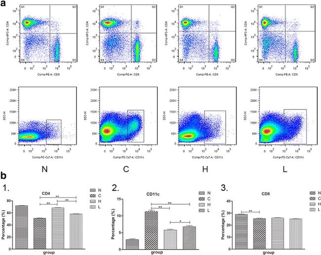 CD8a Antibody in Flow Cytometry (Flow)