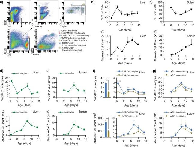 CD11b Antibody in Flow Cytometry (Flow)