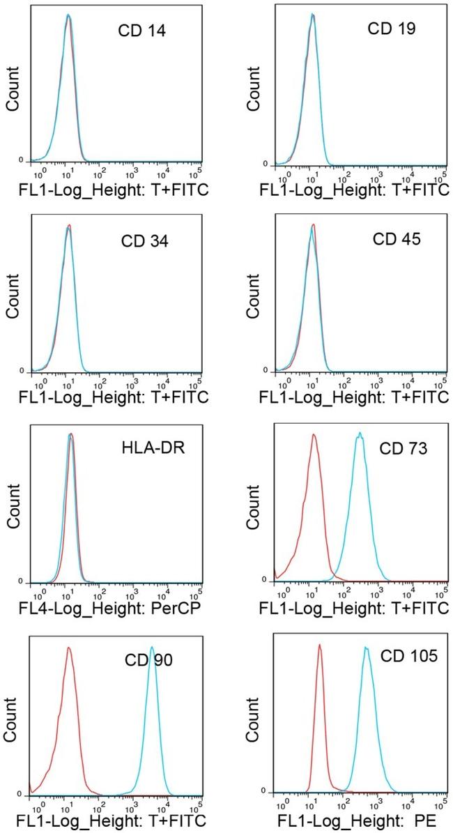 CD34 Antibody in Flow Cytometry (Flow)