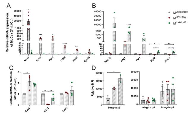 CD29 (Integrin beta 1) Antibody in Flow Cytometry (Flow)