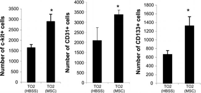 CD117 (c-Kit) Antibody in Flow Cytometry (Flow)