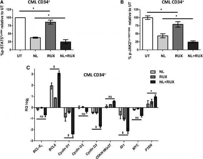 CD34 Antibody in Flow Cytometry (Flow)