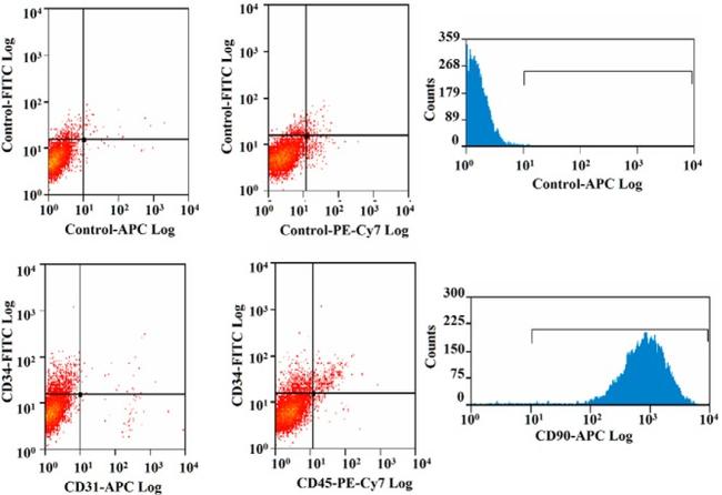 CD34 Antibody in Flow Cytometry (Flow)