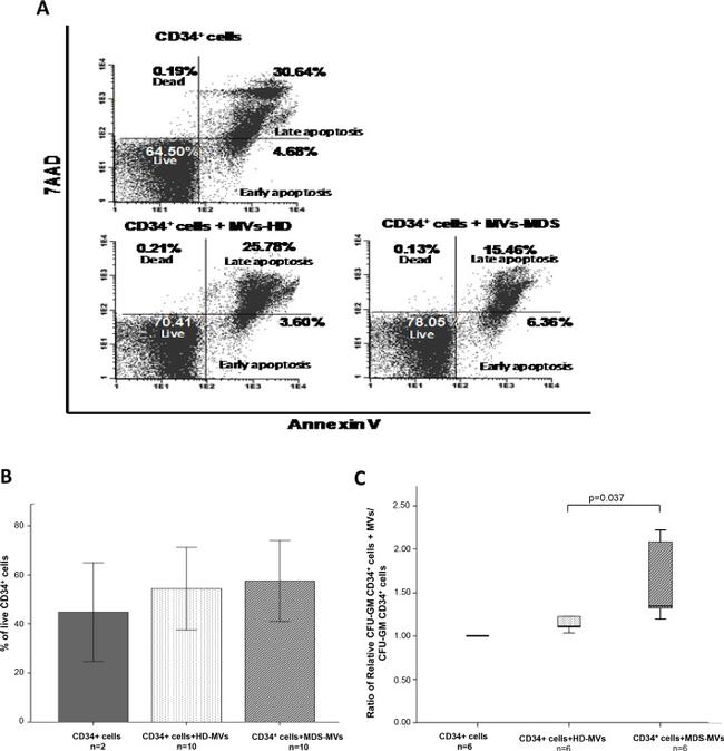 CD34 Antibody in Flow Cytometry (Flow)