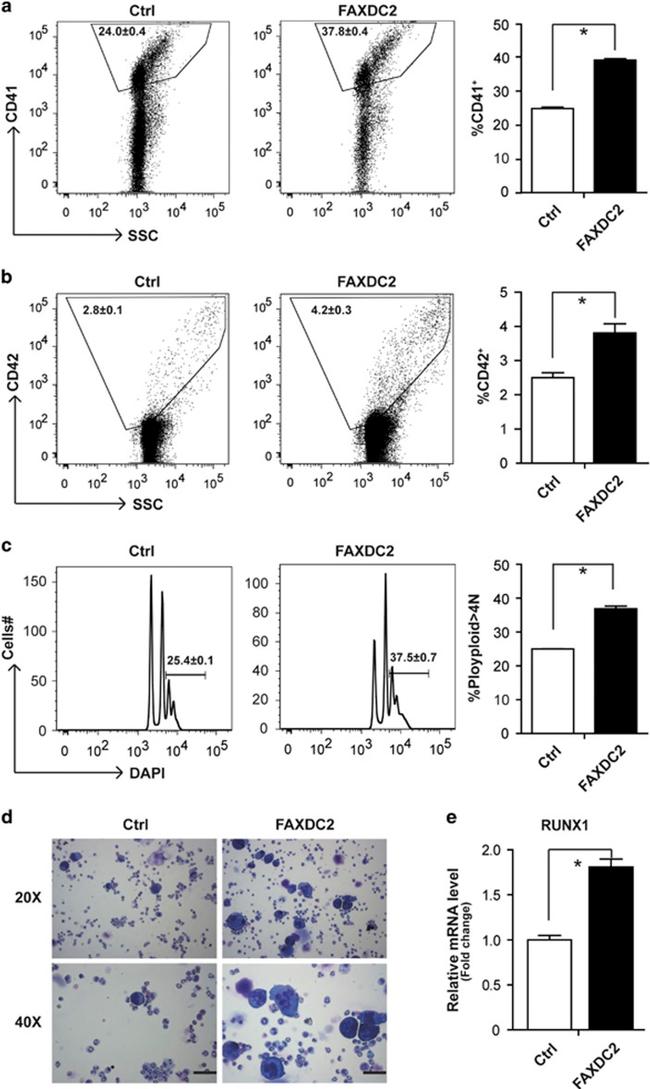 CD42d Antibody in Flow Cytometry (Flow)