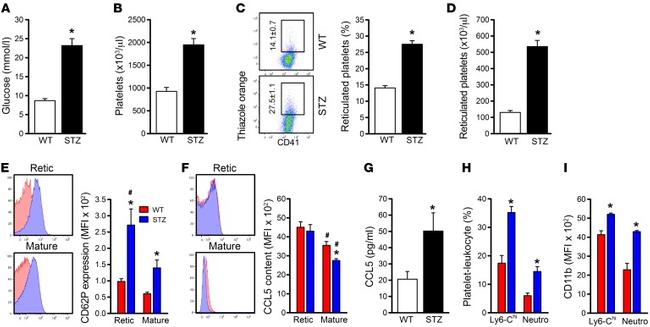 CD62P (P-Selectin) Antibody in Flow Cytometry (Flow)