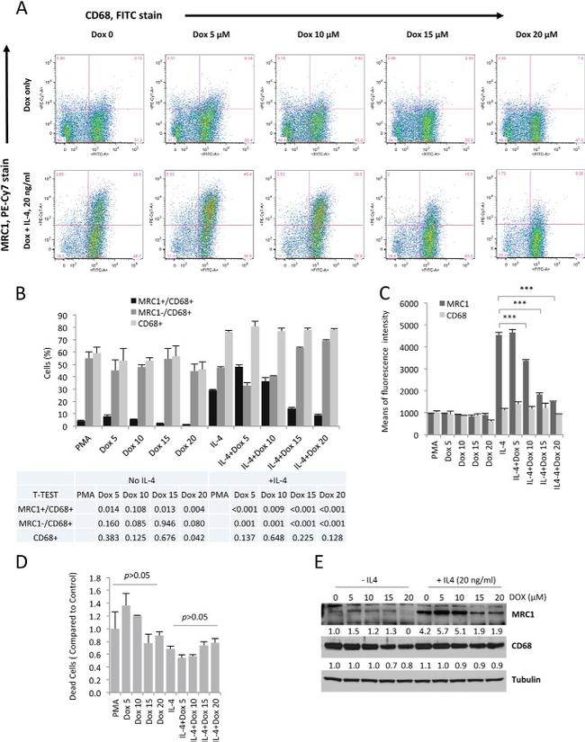 CD68 Antibody in Flow Cytometry (Flow)