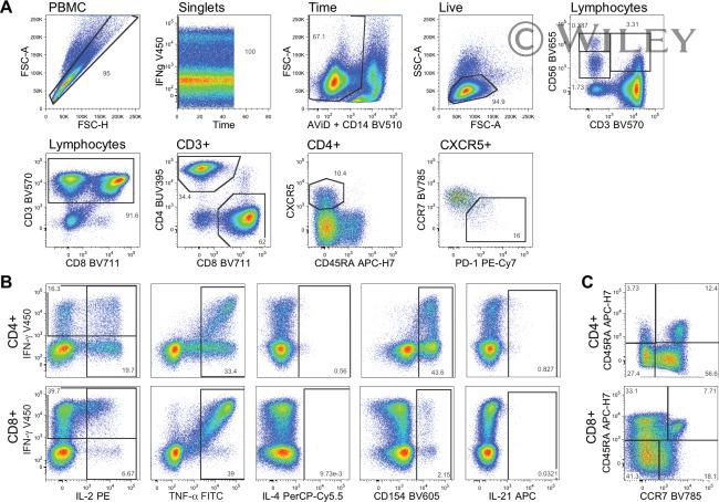 CD279 (PD-1) Antibody in Flow Cytometry (Flow)