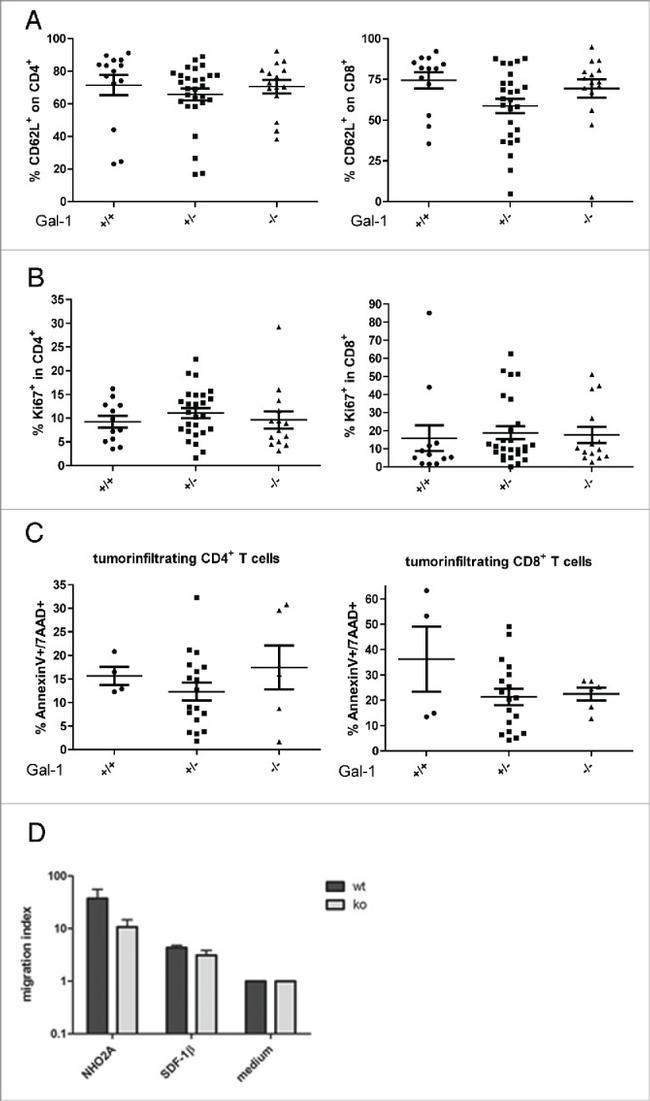 Ki-67 Antibody in Flow Cytometry (Flow)