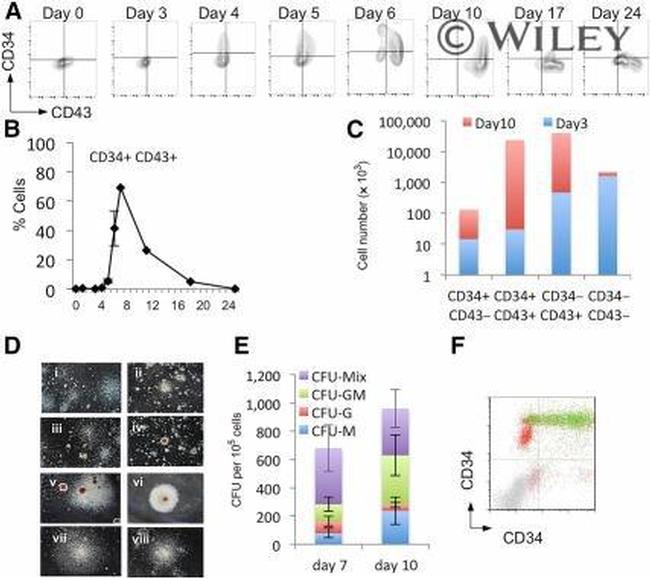 CD34 Antibody in Flow Cytometry (Flow)