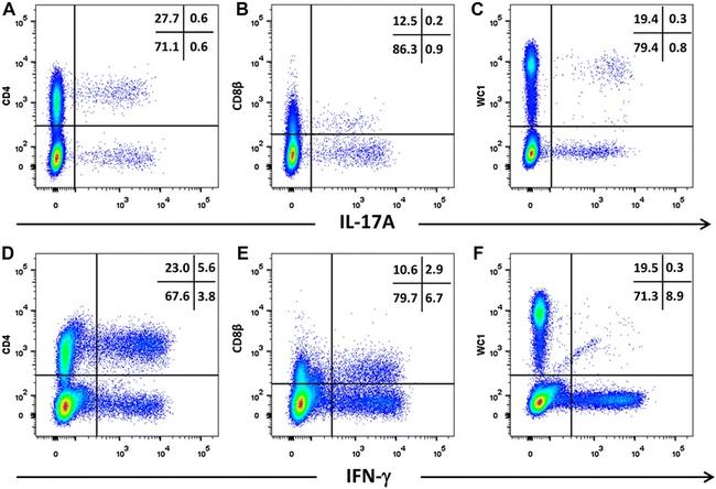 IL-17A Antibody in Flow Cytometry (Flow)