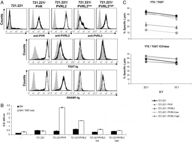 TIGIT Antibody in Flow Cytometry (Flow)