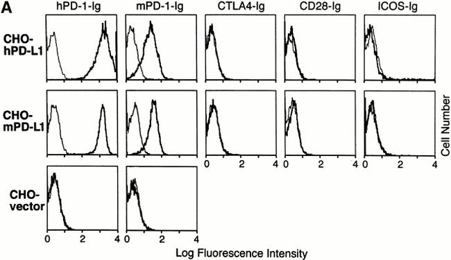 CD279 (PD-1) Antibody in Flow Cytometry (Flow)