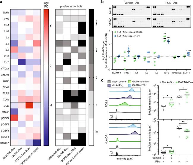 CD274 (PD-L1, B7-H1) Antibody in Flow Cytometry (Flow)