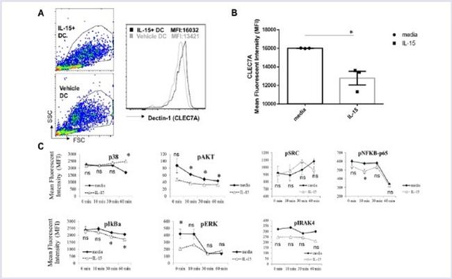 Phospho-AKT1 (Ser473) Antibody in Flow Cytometry (Flow)