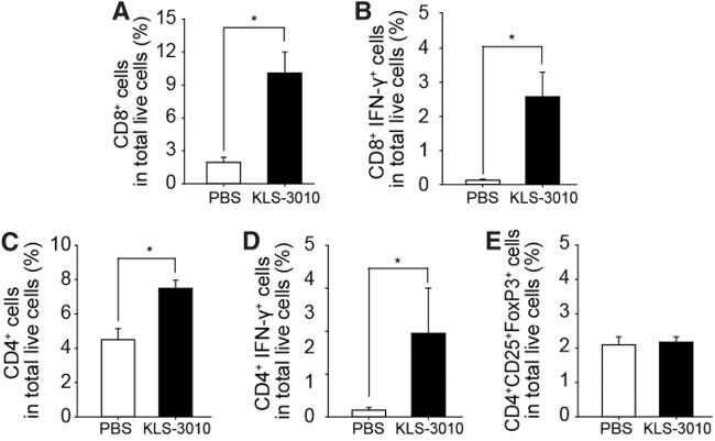 IFN gamma Antibody in Flow Cytometry (Flow)