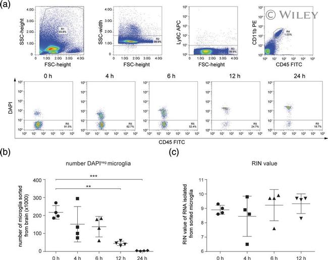 CD11b Antibody in Flow Cytometry (Flow)