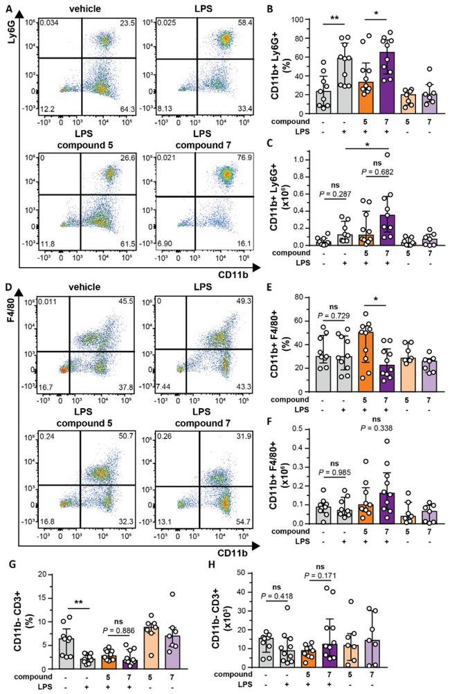 CD11b Antibody in Flow Cytometry (Flow)